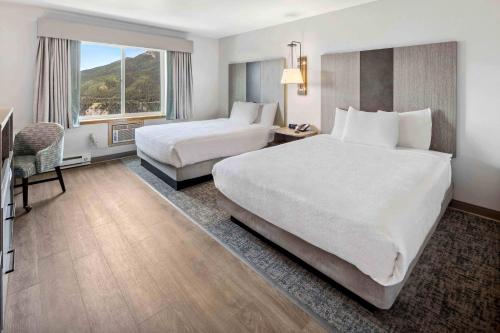2 queen beds