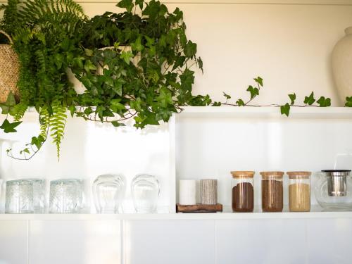 บริการและสิ่งอำนวยความสะดวก, Sheer Pleasure Accommodation in สมิทตัน