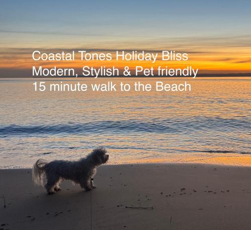 Coastal Tones - Phillip Island