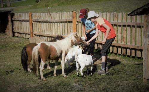 Zeiserhof - image 13