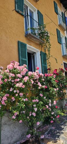 Dream vacation on the lake, Brissago (fotografie 3)