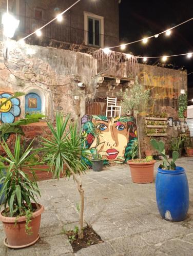 Aci House - image 2