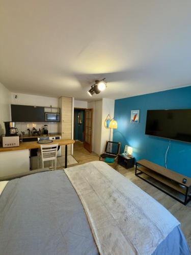 Studio Centre-ville de Vannes - Location saisonnière - Vannes