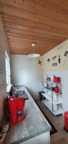 Ferienwohnung im Herzen des Pfälzer Waldes (Ferienwohnung im Herzen des Pfalzer Waldes) in Elmstein