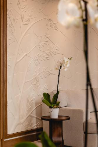 La Villa Madame - image 7