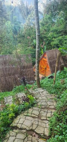  METAGLAMP in Rancabali