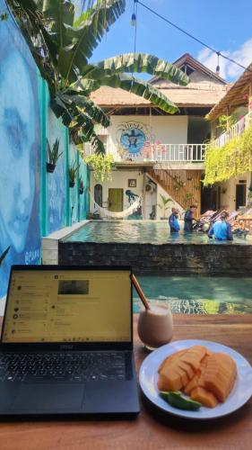 Tipsea Turtle Gili Air in Lombok