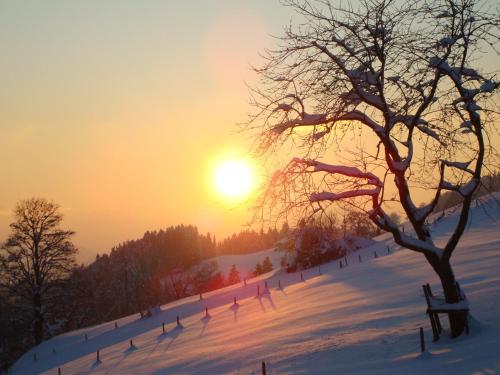  Haus Dreiländerblick in Sulzberg