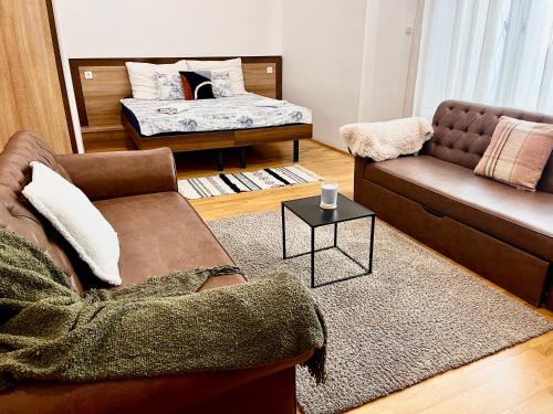 Ground floor apartments in the centre of the city, Budapest