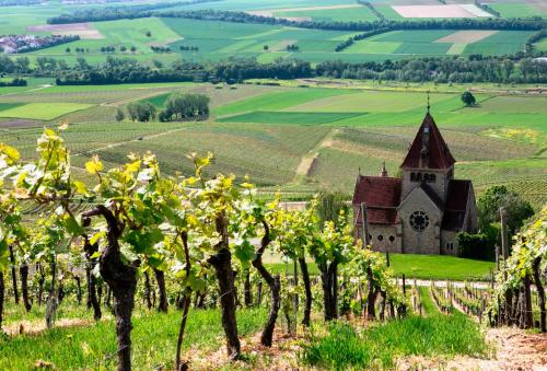 Hofgut Wißberg - Das Weinberghotel