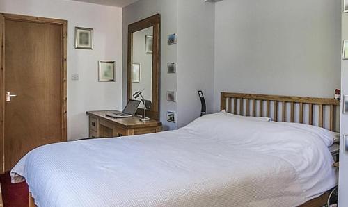 Afon Duad Inn and Dolau Cottage - image 10