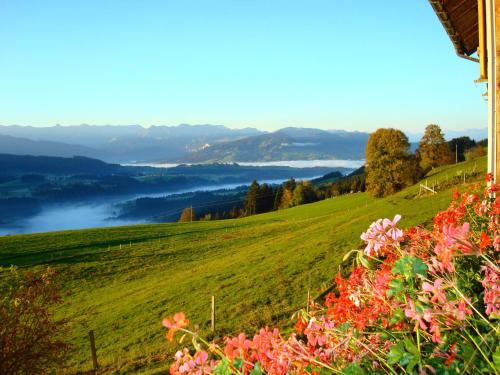 Haus Dreiländerblick - image 8