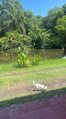 Rural cotage and sandy bay in เตลา