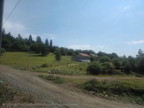 A környék, Sama Bakuriani in Sareki