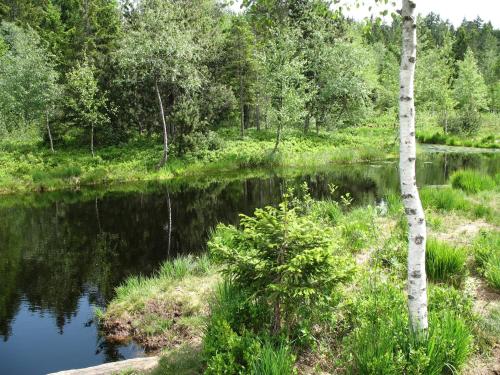 Haus Dreiländerblick - main image