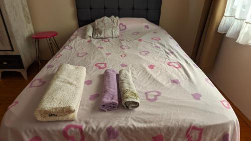 Fresh Big Private Room on the City Center, Antalya (foto 2)