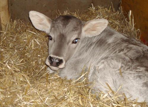 Haus Dreiländerblick - image 2