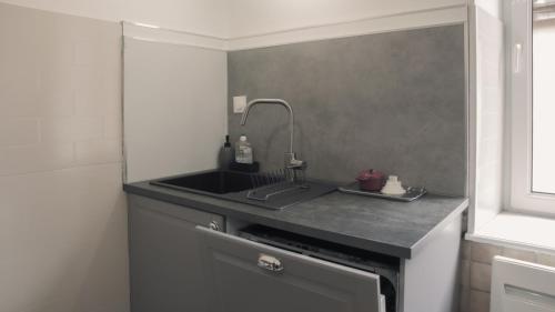 Senones appartement vue chateau in Senones