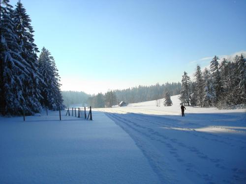 Haus Dreiländerblick - image 13