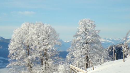 Haus Dreiländerblick - image 7