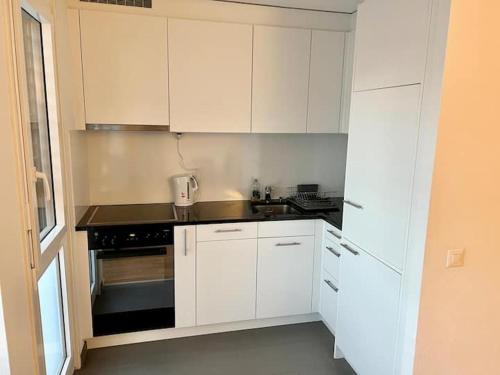 Brand New City Center downtown apartment Zurich Brauer, Curych (fotografie 6)