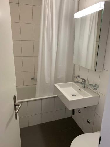 Brand New City Center downtown apartment Zurich Brauer, Curych (fotografie 7)