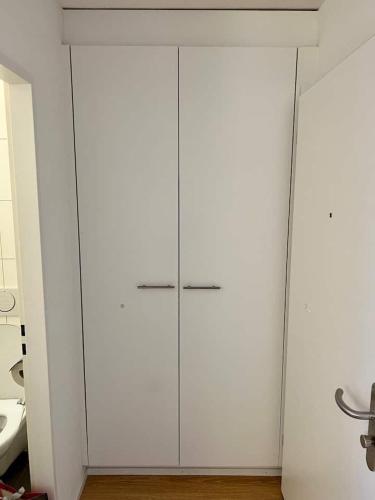 Brand New City Center downtown apartment Zurich Brauer, Curych (fotografie 8)