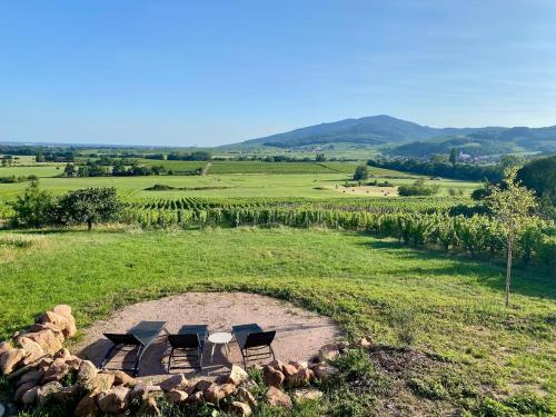 L'horizon des vignes gîte à louer Itterswiller