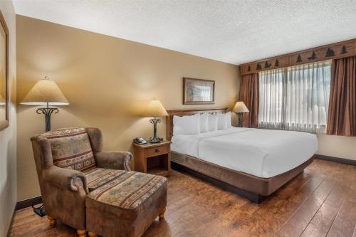 Best Western Plus Kelly Inn & Suites - image 14