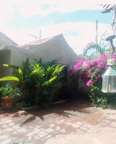 aguita sala in Choroni