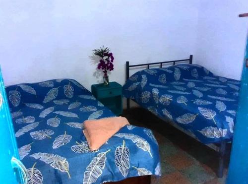 aguita sala in Choroni