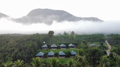 Nature's nest in Njayappilly