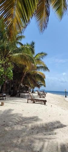 Guna-Yala travel Panamá (Guna-Yala travel Panama) in 埃波班尼