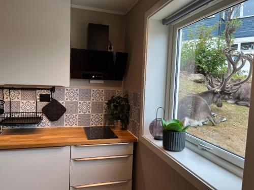 g-Suites in Kvaloysletta