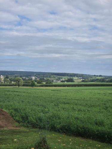 Amish Country Stay w/ Buggy Ride in Gap, USA