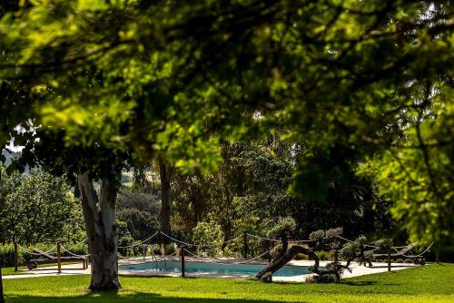 Boma Countryhouse - image 13