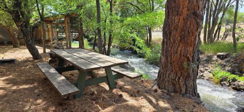 Dog Friendly Room with a Queen Bed and Kitchenette at the Cedaredge Lodge