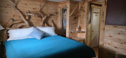 Dog Friendly Room with a Queen Bed and Kitchenette at the Cedaredge Lodge in Cedaredge