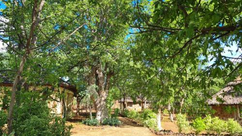 A környék, Mukuni Villas in Livingstone