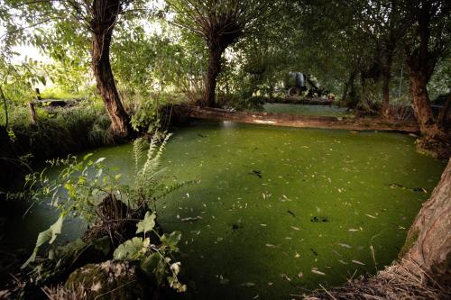 The Merchant Hill in Vulcana De Sus