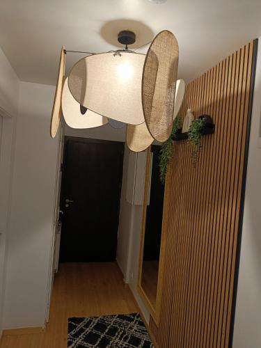 Grande chambre d'hote - 5 mins Gare Annemasse