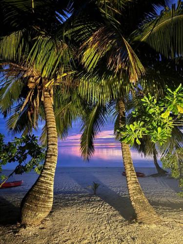 Paradise Cove Lodge in Aitutaki