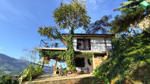 Montecafé Jardín (Montecafe Jardin) in Jardin