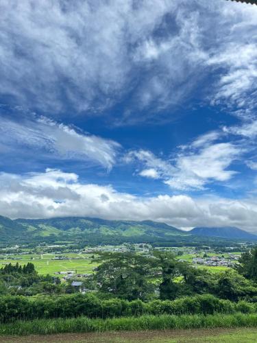 Codona コドナ, Wada (фото 6)