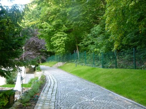 Villa Rosenburg - image 4