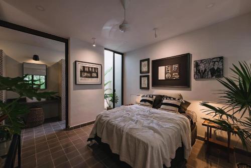 Chalet Cancún, Cancún (fotografie 5)