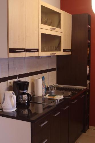 Ngoại cảnh khách sạn, Honey Wellness Apartman in Siofok