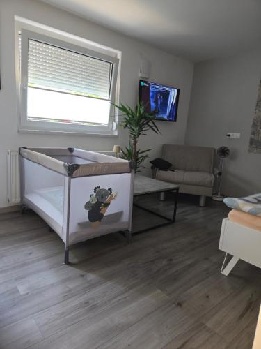 Apartma dolgi most, Ljubljana (photo 4)