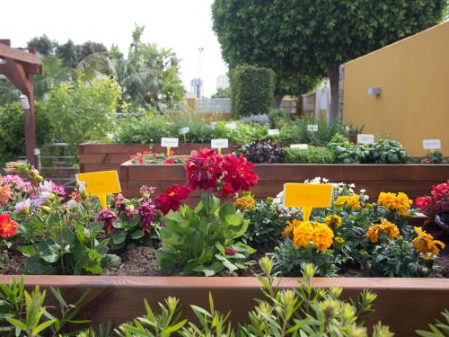 The Cookbook Gastro Boutique Hotel & SPA - image 5