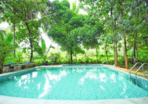 Swimming pool, Ambara Kovilakam Private Pool Villa By Travent Mug in Byalalu